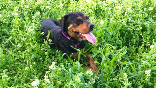 /Images/uploads/Humane Society of Utah/HSUCalendar/entries/1097thumb.jpg